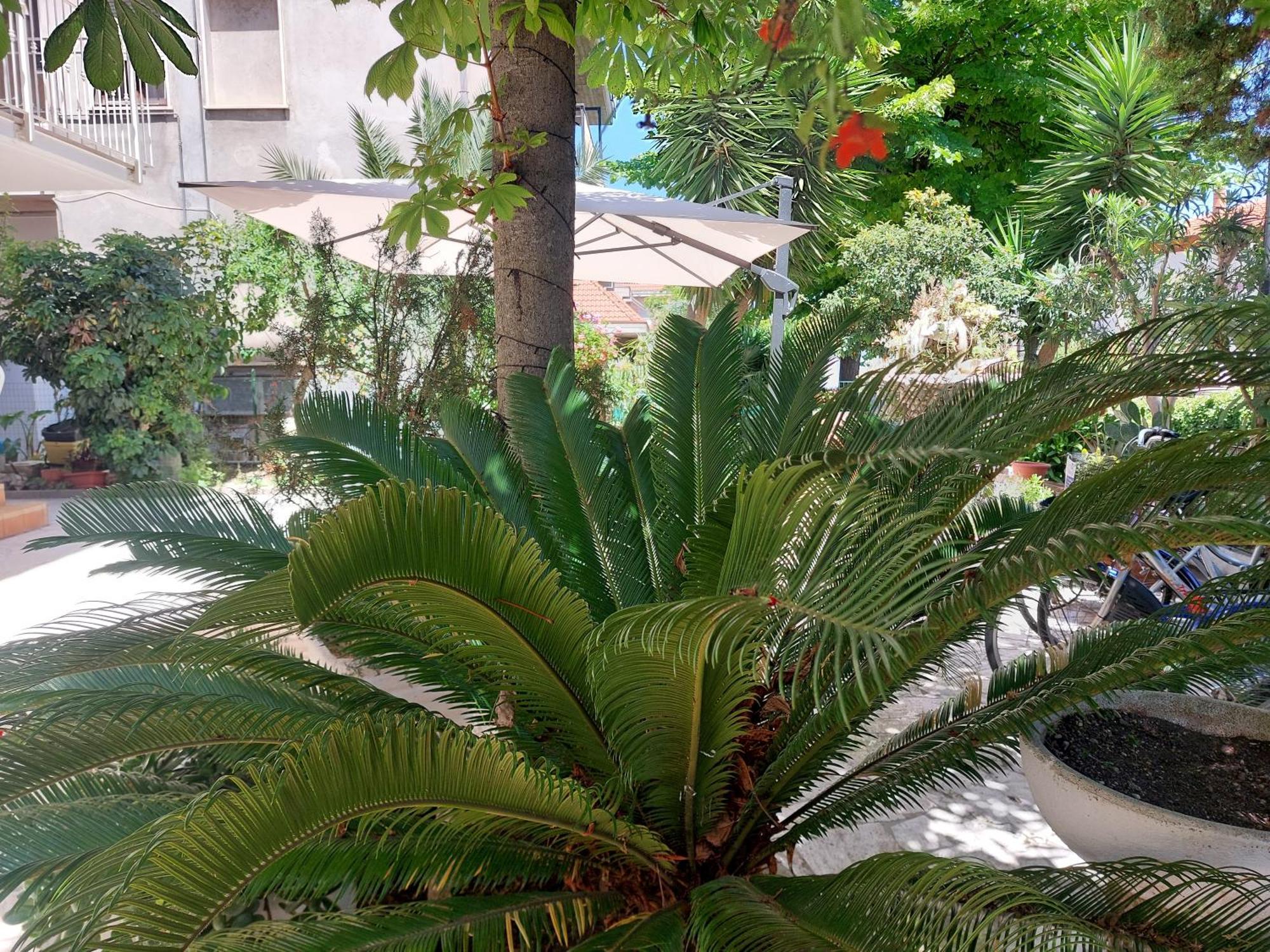 B&B La Fontanella San Benedetto del Tronto Ngoại thất bức ảnh